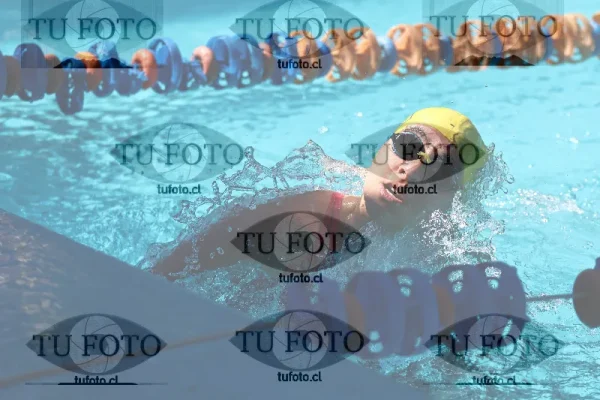 Image oceano de rengo 1659