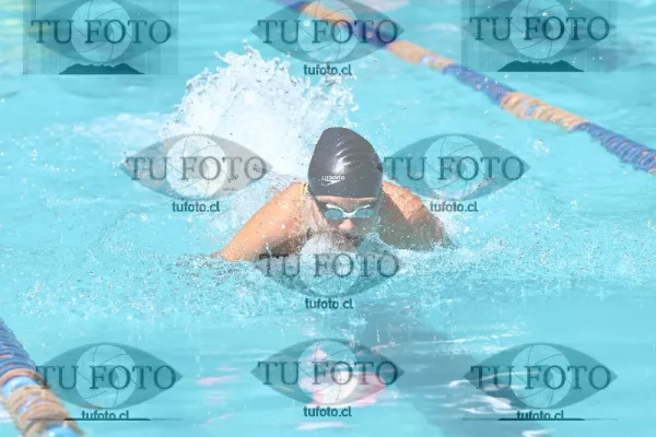 Image oceano de rengo 1614