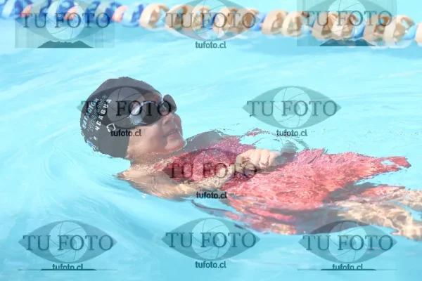 Image oceano de rengo 0574
