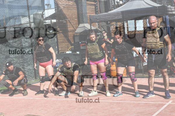 Image Minotaurus 2234