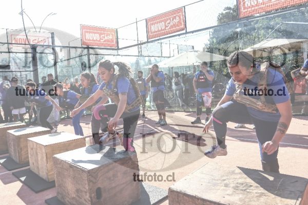 Image rhino 1683