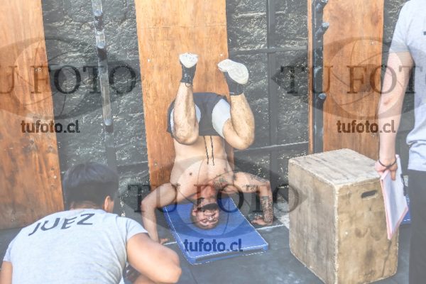 Image primera 0773