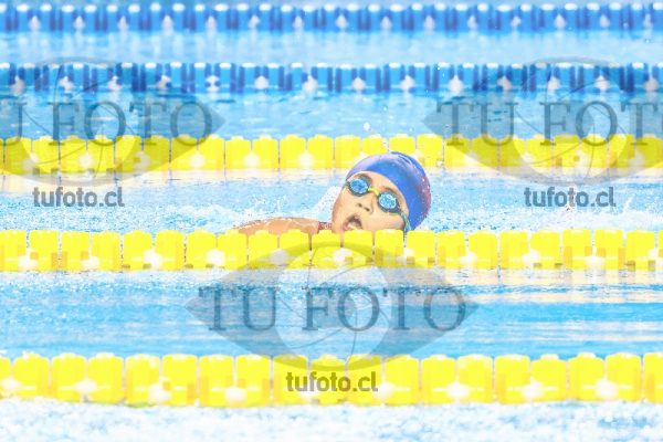 Image 400 libres damas0102