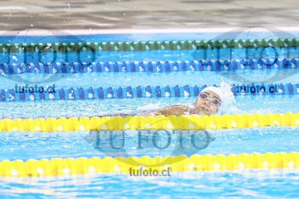 Image 400 libres damas0251