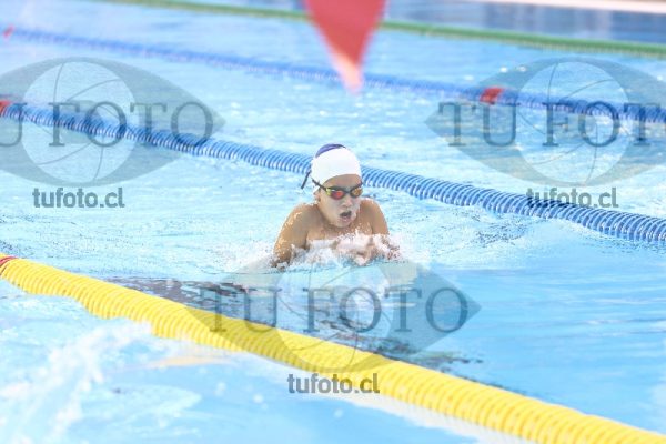 Image 100 pecho varones 0055