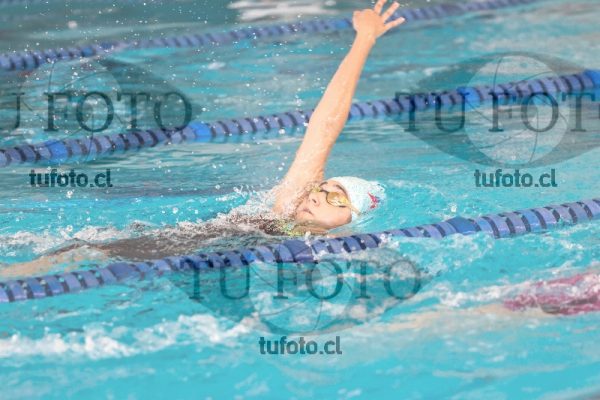 Image campeonato nacional 1499