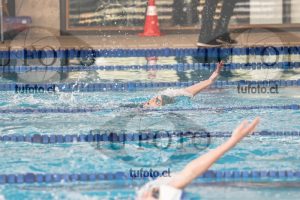 Image campeonato nacional 1555