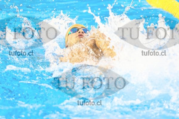 Image jpm8 0306