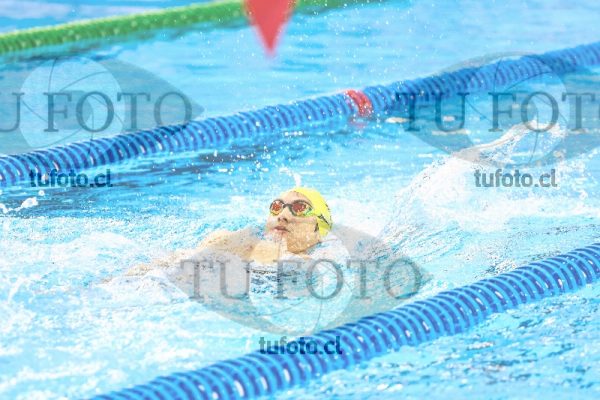 Image vam 25 0649