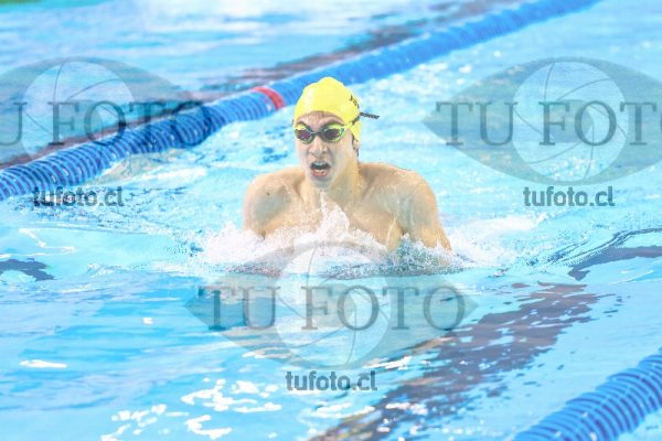Image vam 25 0655