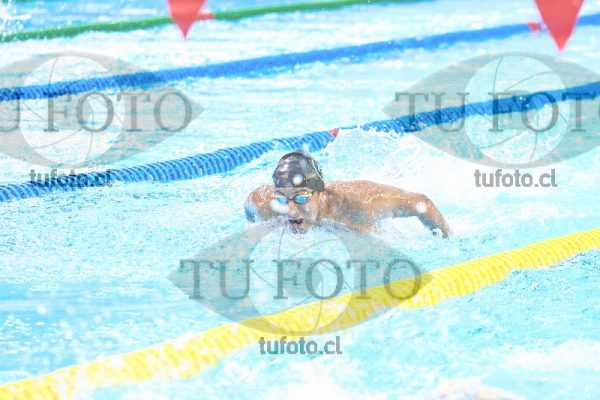 Image vam 27 0897