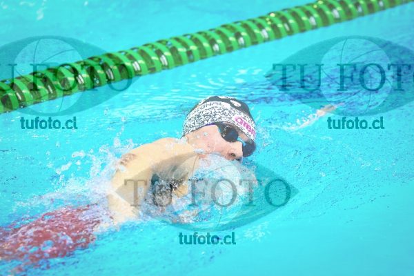 Image vam 29 1198