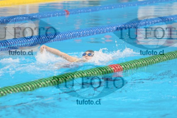 Image ZAC sam37 0465