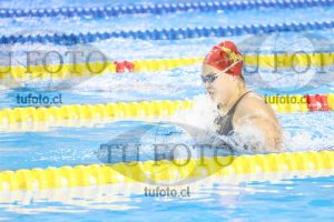 Image IMG_5230