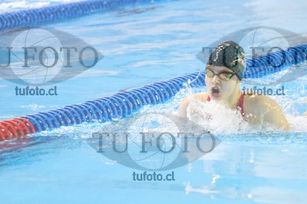 Image IMG_5331