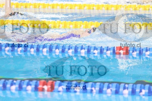 Image ZAC spm37 0173
