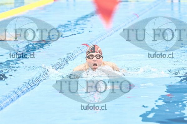 Image p10 0249