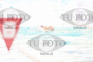 Image CSE 0271