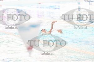 Image CSE 0275