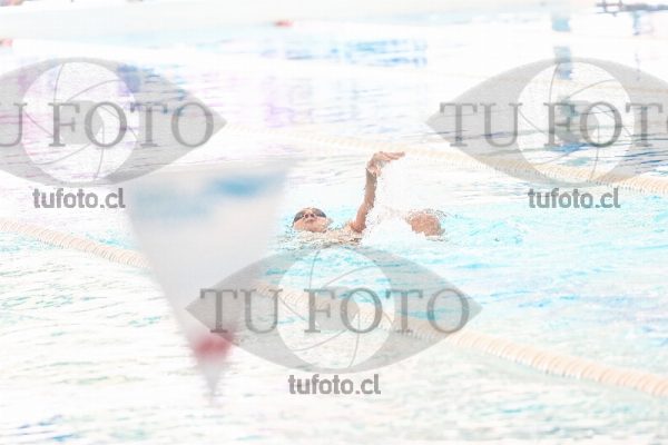 Image CSE 0275