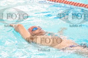 Image CSE 0261