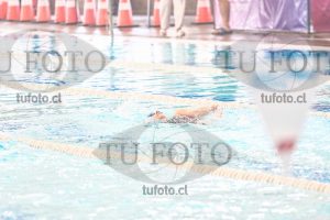 Image CSE 0274