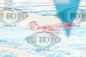 Image CSE 0381
