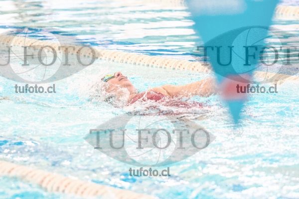 Image CSE 0381