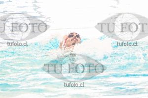 Image CSE 0479
