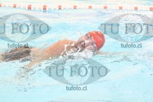 Image CSL 0234
