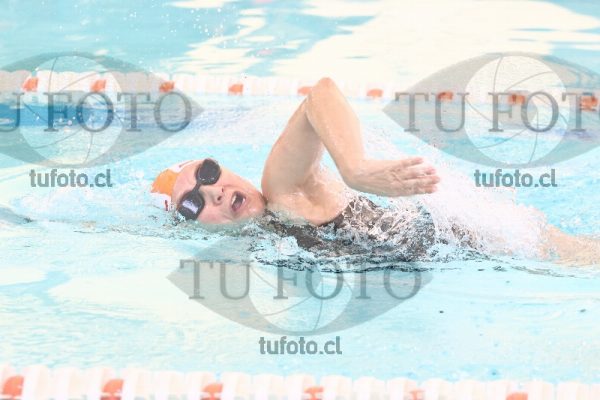 Image CSL 0225