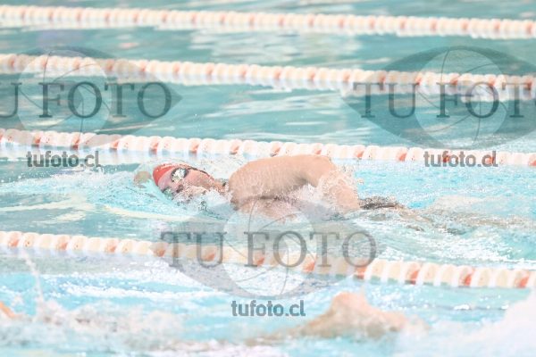 Image CSL 0362