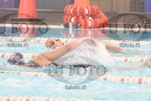 Image CSL 0364