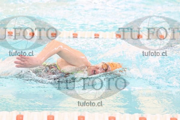 Image CSL 0414