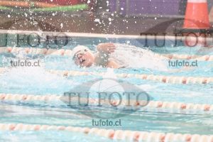 Image CSL 0511