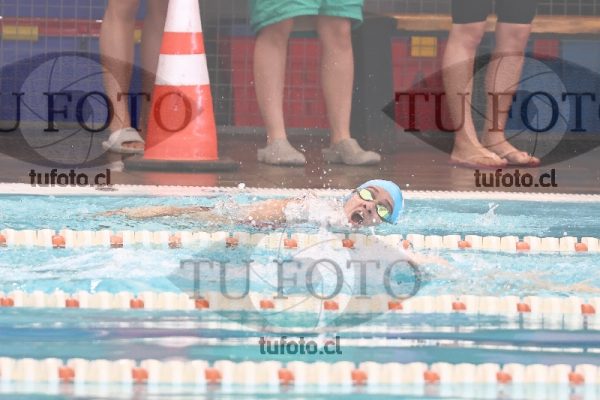 Image CSL 0516