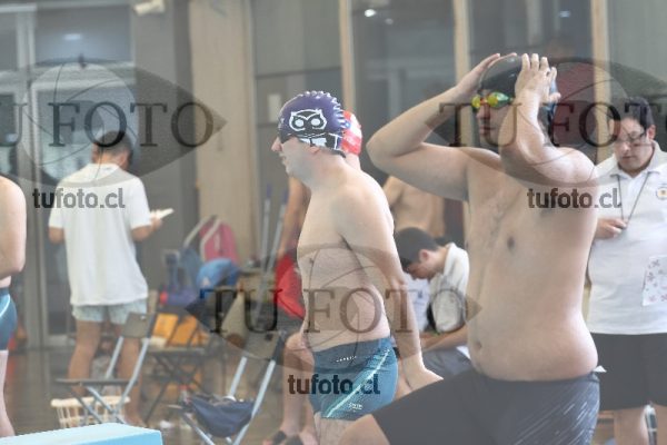 Image CSL 0677