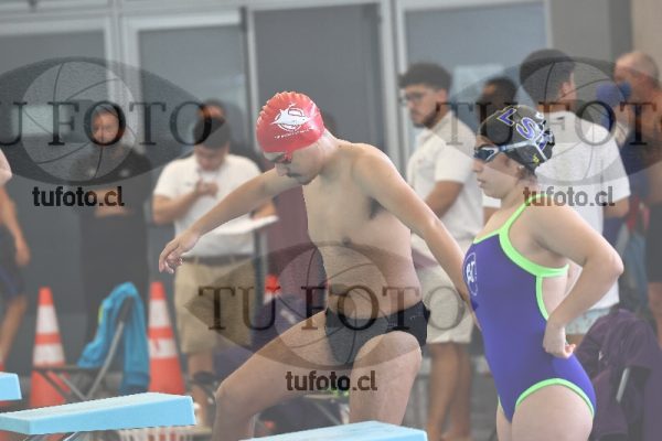 Image CSL 0736