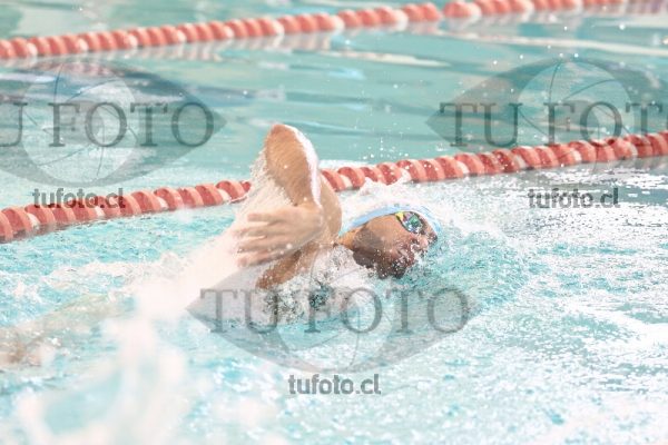 Image CSL 0789