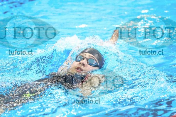 Image zm200c 0531