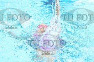 Image zm100E 0032