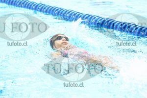 Image zm100E 0102