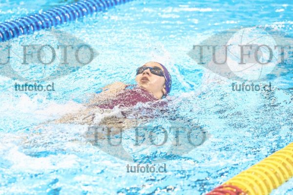 Image zm100E 0131