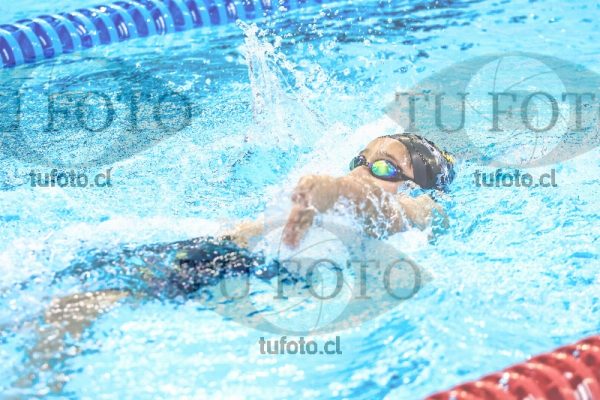 Image zzh1 espalda 0346