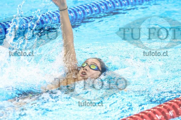Image zzh1 espalda 0348