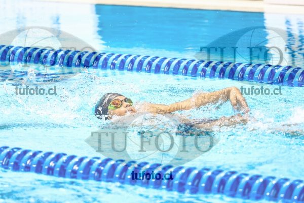 Image zzh1 espalda 0353
