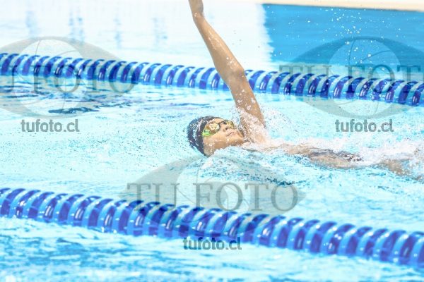 Image zzh1 espalda 0354