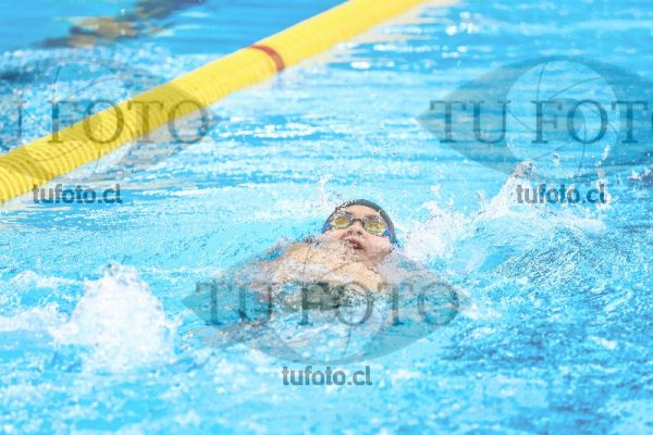 Image zzh1 espalda 0355