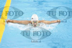 Image 100 M D0028