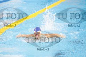 Image 100 M D0029
